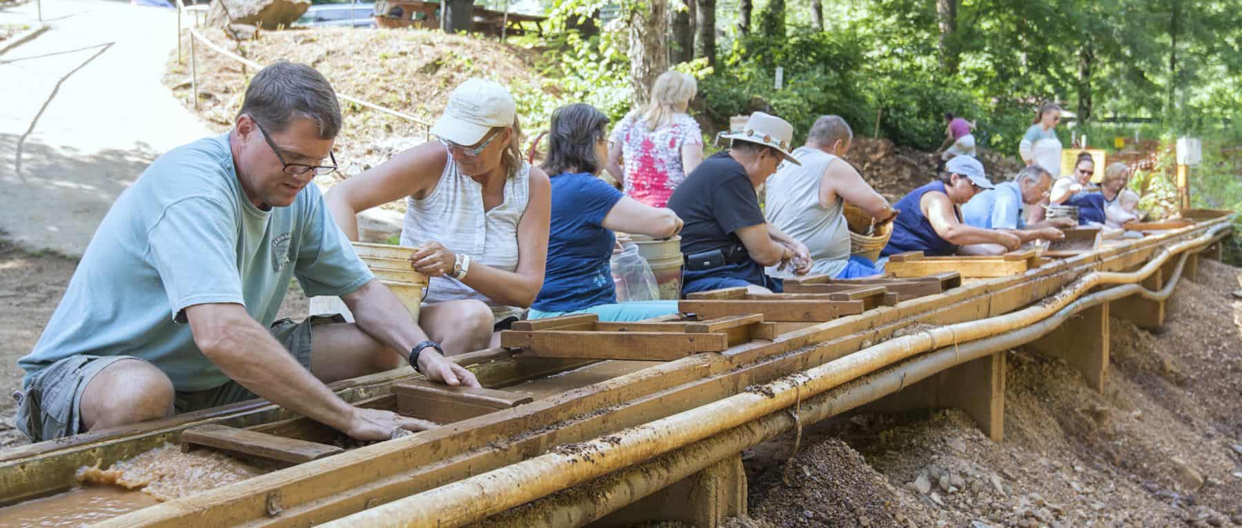 Leaf Lookers Gemboree celebrates area’s abundant natural resources