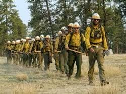 Firefighters in yellow gear walking in formation during training exercise.
