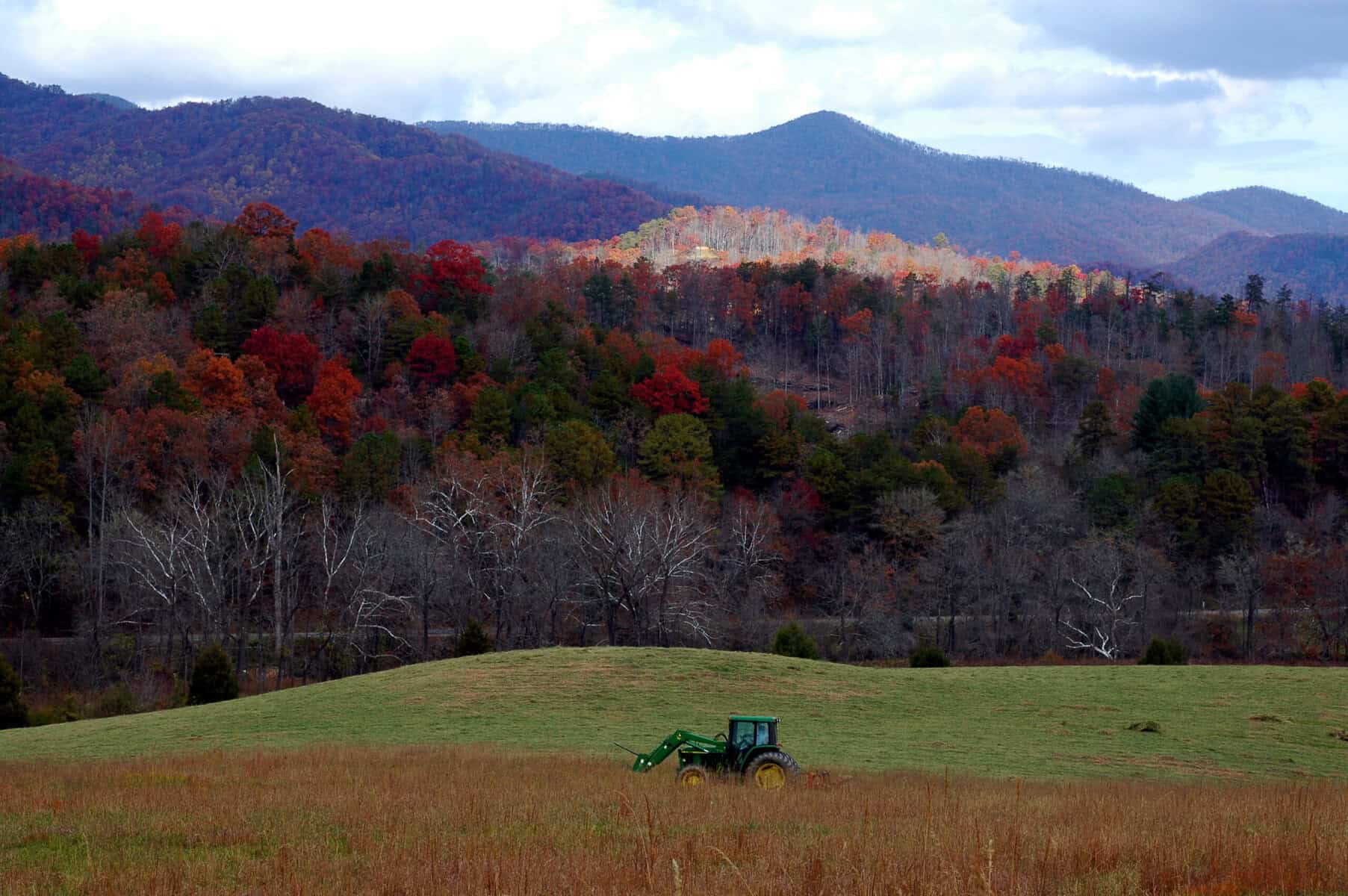 What’s in a name? Cowee Town