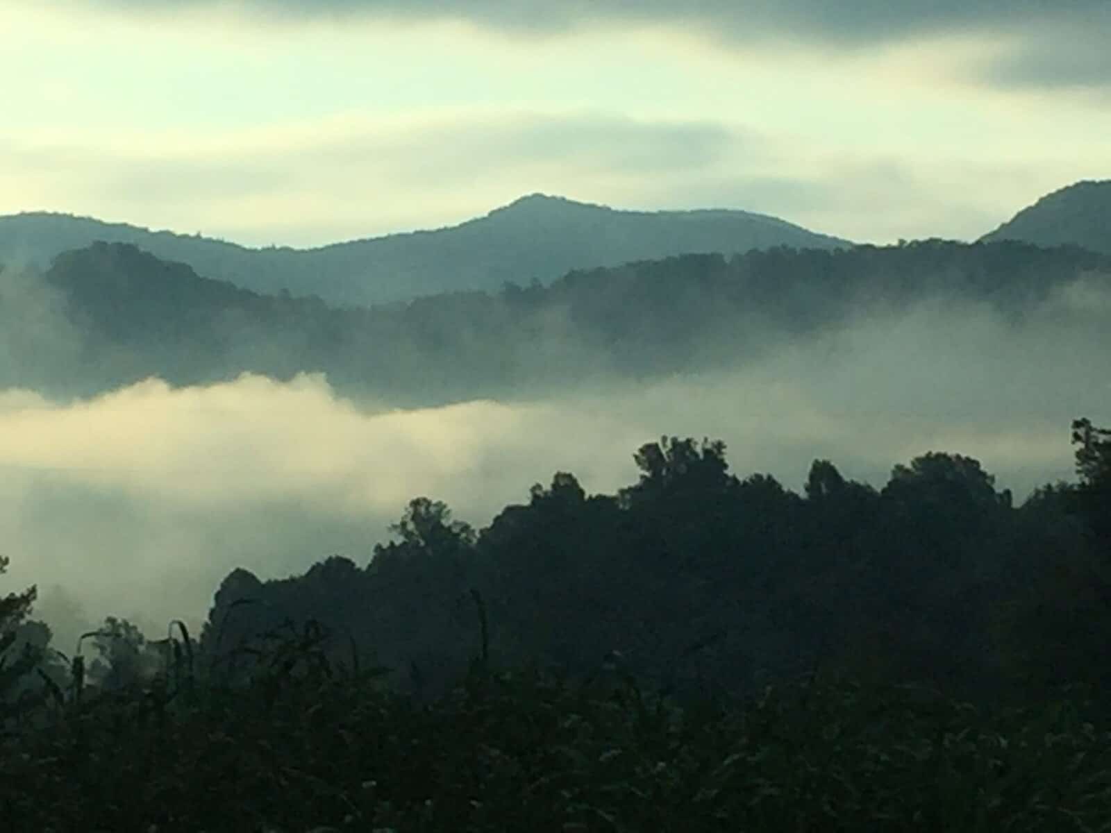 Public input sought on opioid crisis