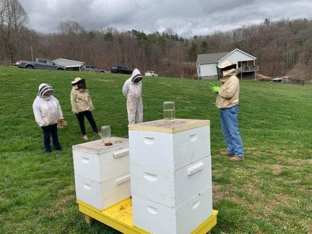 Beekeepers demonstrating hive maintenance outdoors for educational purposes.