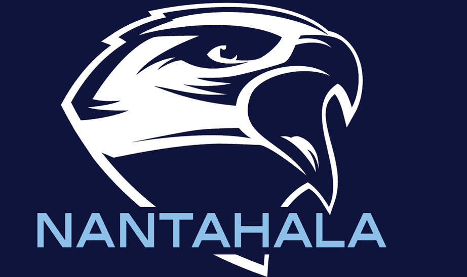 Logo of Macon Sense featuring a stylized hawk head in blue and white.