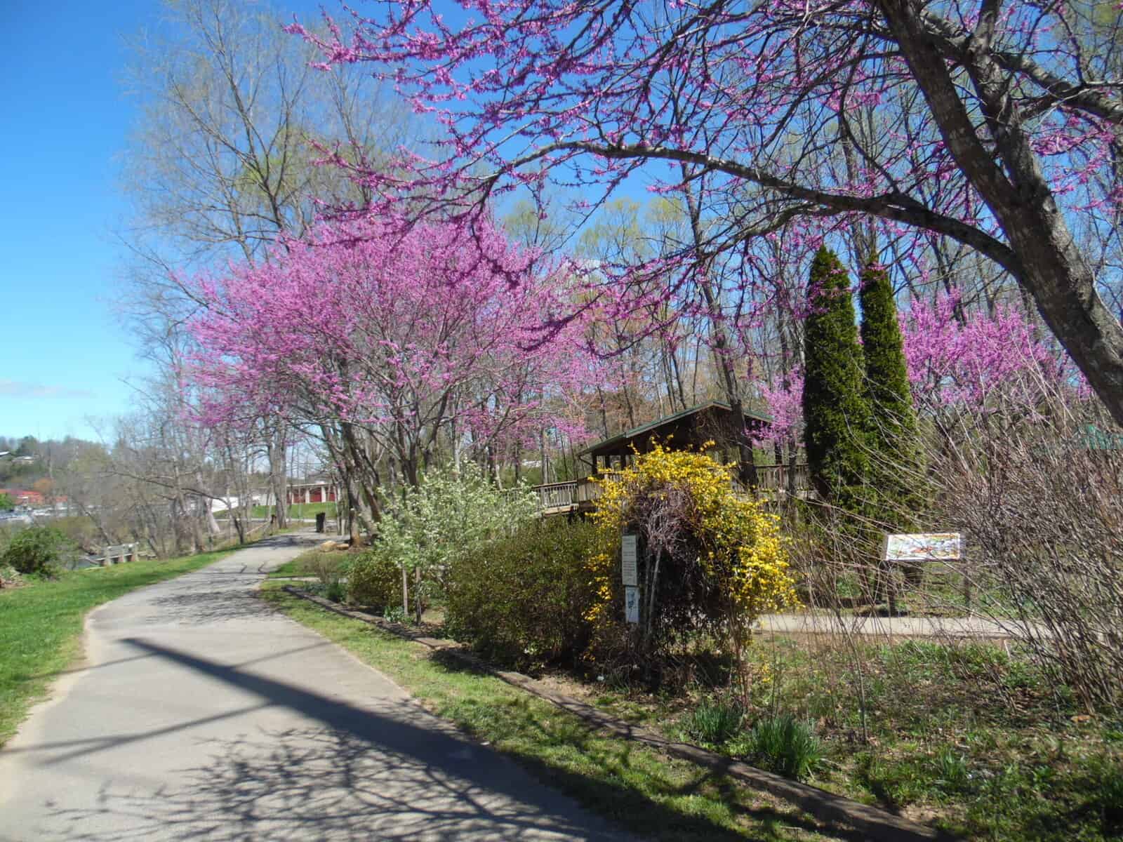 The Greenway – a Macon County treasure