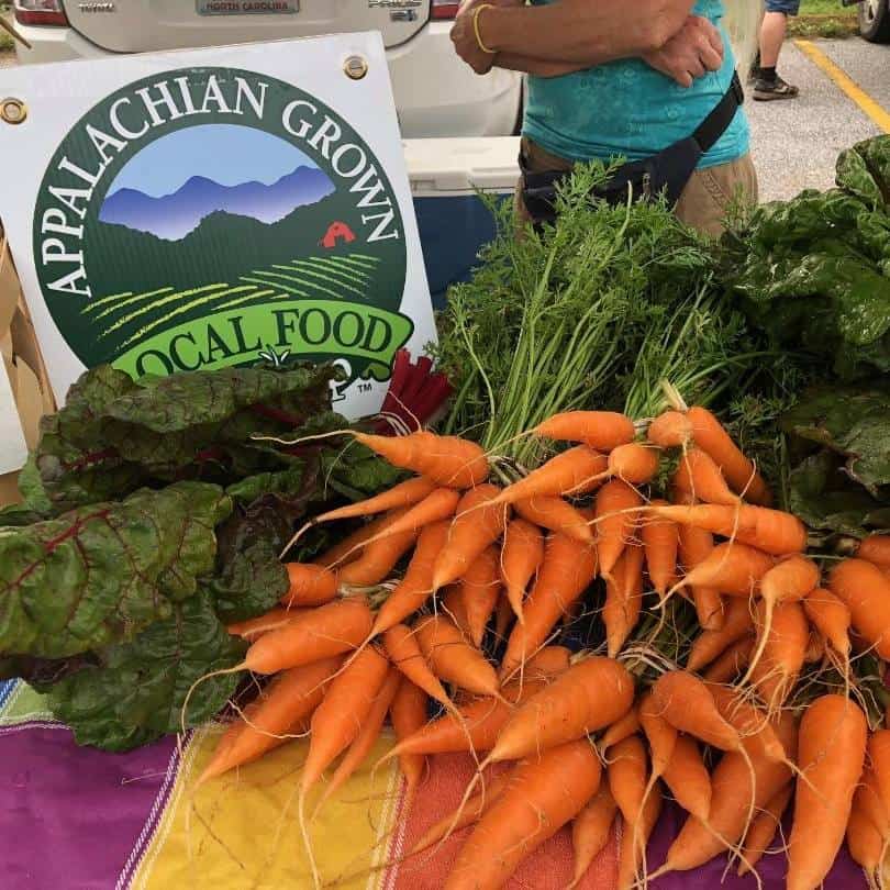 Choosing healthy foods results in healthy bodies