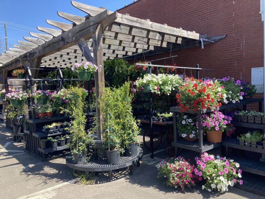 Outdoor garden display with colorful flowers and plants.