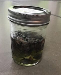 Jar of preserved stink bugs, a traditional food in some cultures.