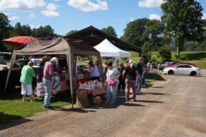 Vibrant outdoor market scene with vendors and visitors enjoying local products.