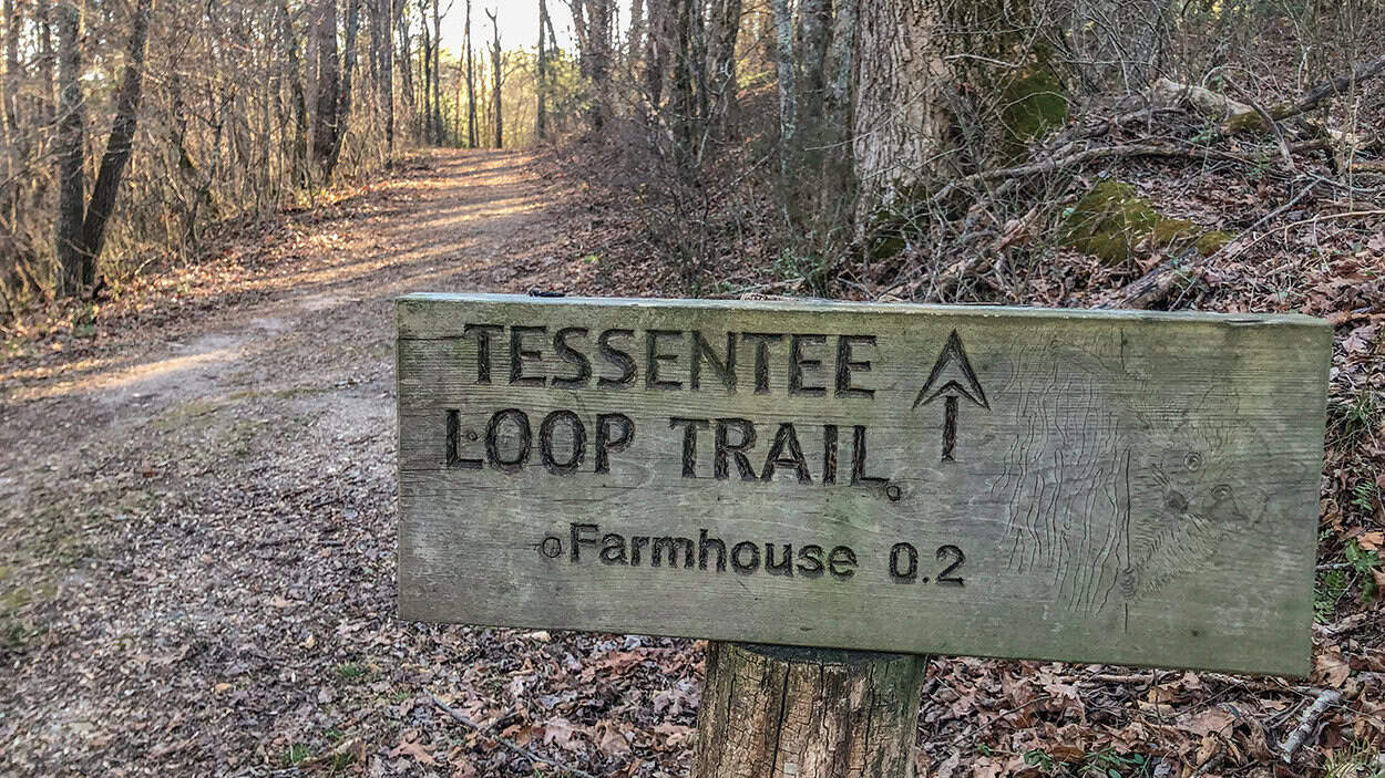 Wooden trail sign for Tessen Tee Loop Trail near farmland, in a wooded area.