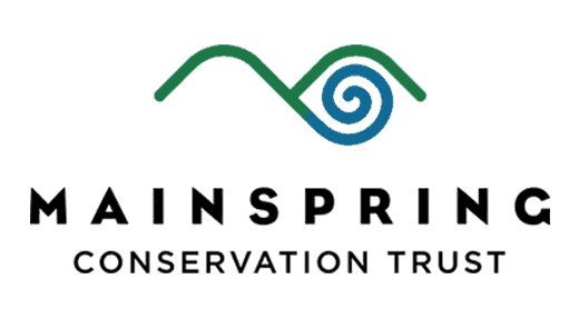 Mainspring logo with waterway and landscape elements for conservation efforts.
