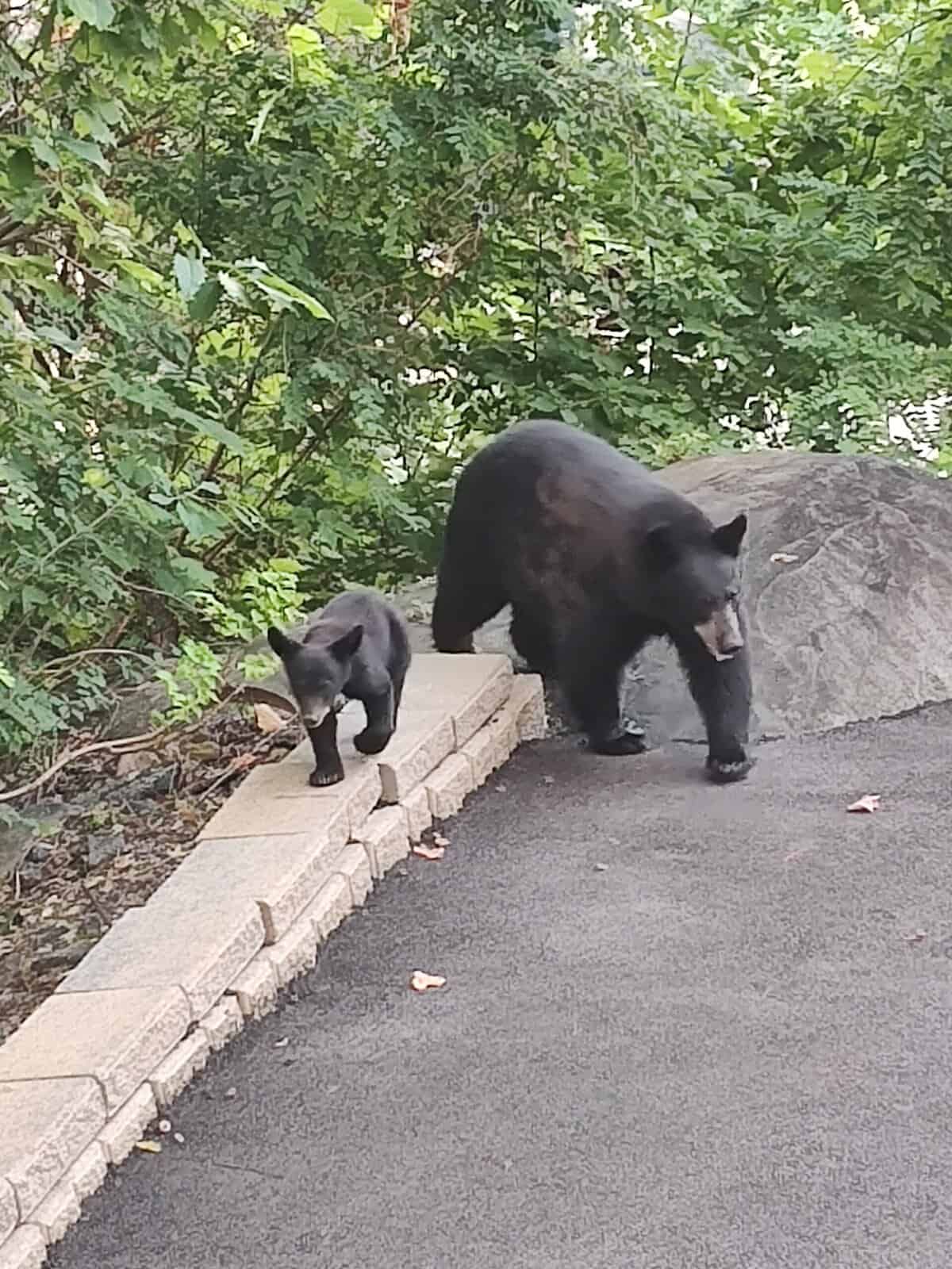 Events Calendar: Sept. 26 – Oct. 10