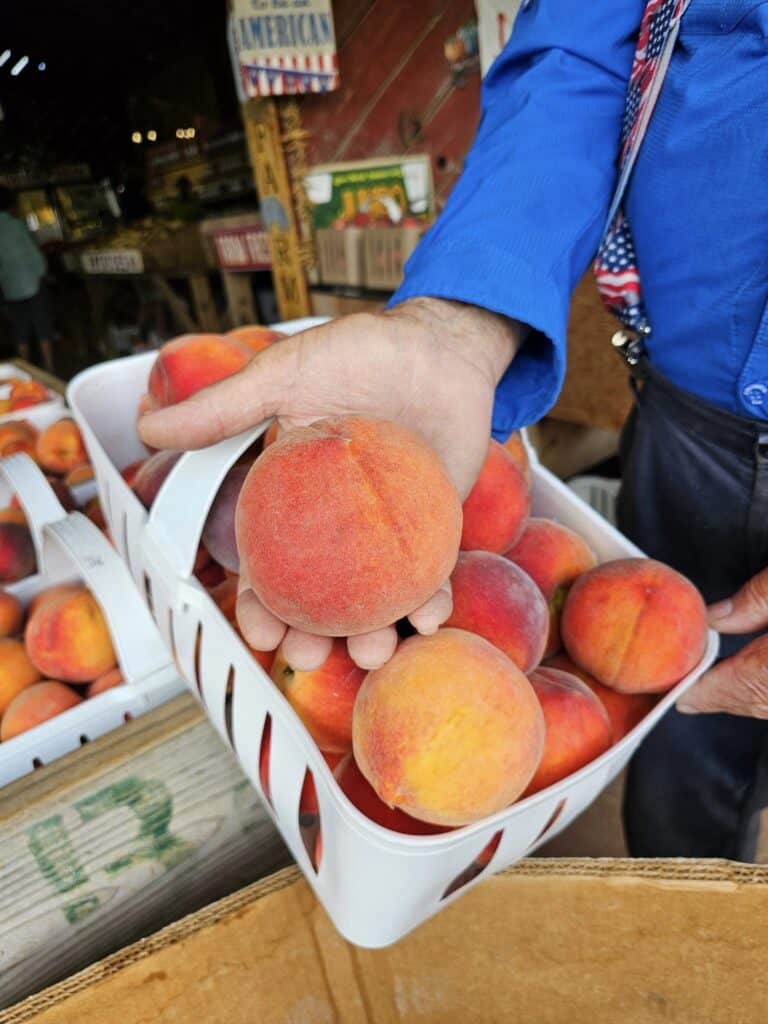 Peaches in a basket at Macon Sense, ideal for baking delicious peach bread.