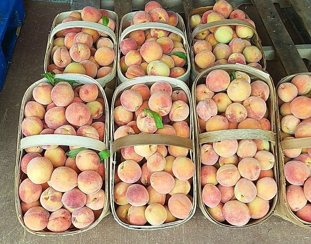 Peaches make a delicious flavorful bread