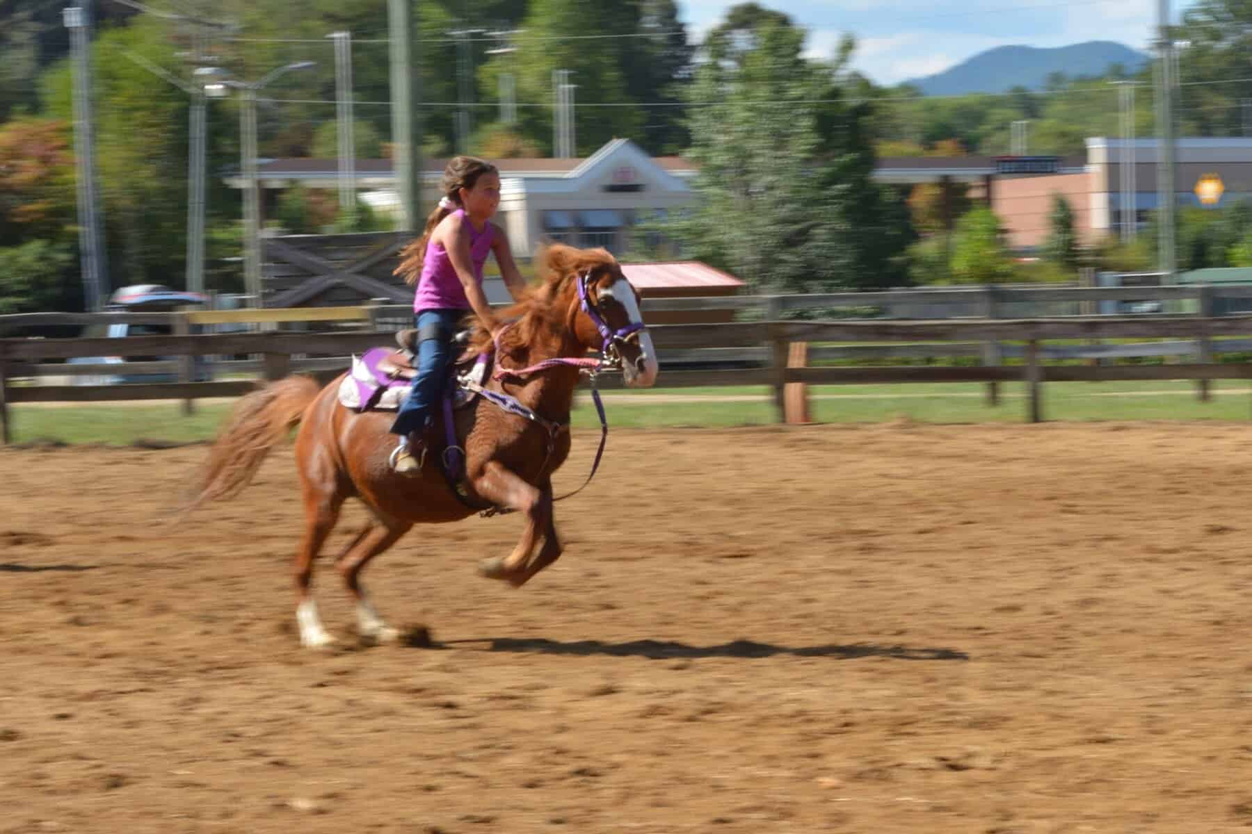 County fair still going strong: a photo essay