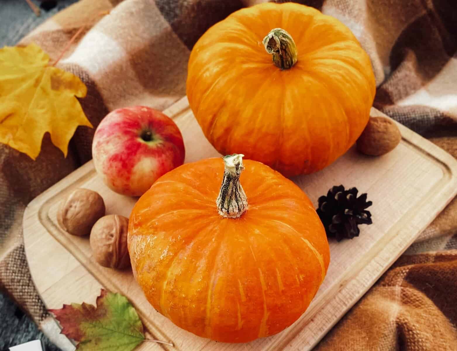 Pumpkin donuts and apple fritters