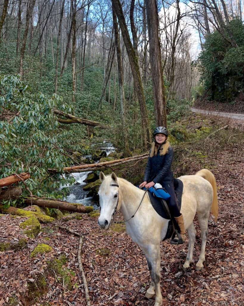 Equine therapy session in nature with a rider on a white horse, promoting emotional healing for vete.