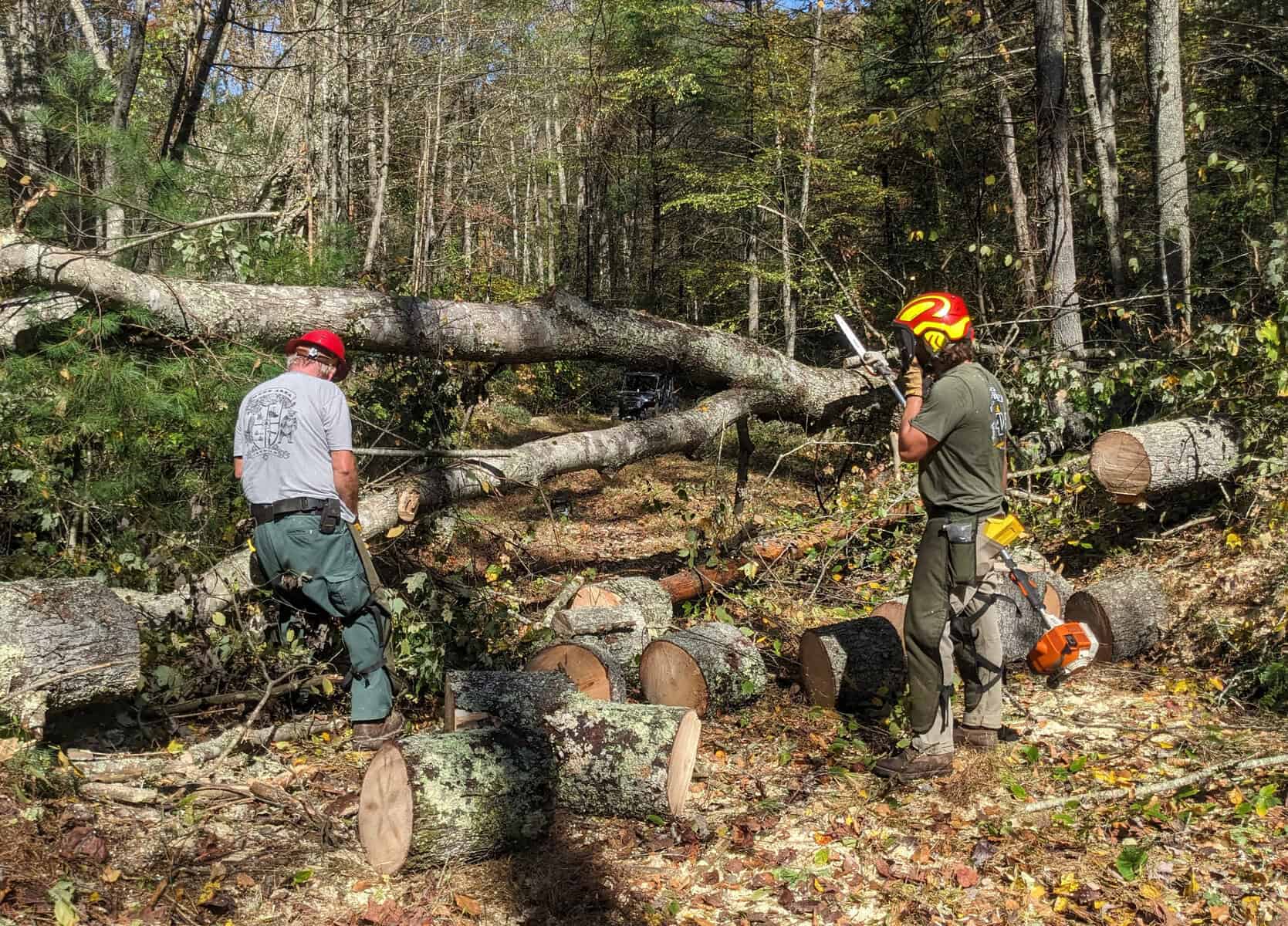Nantahala Hiking Club hard at work on the AT after chaos of Hurricane Helene