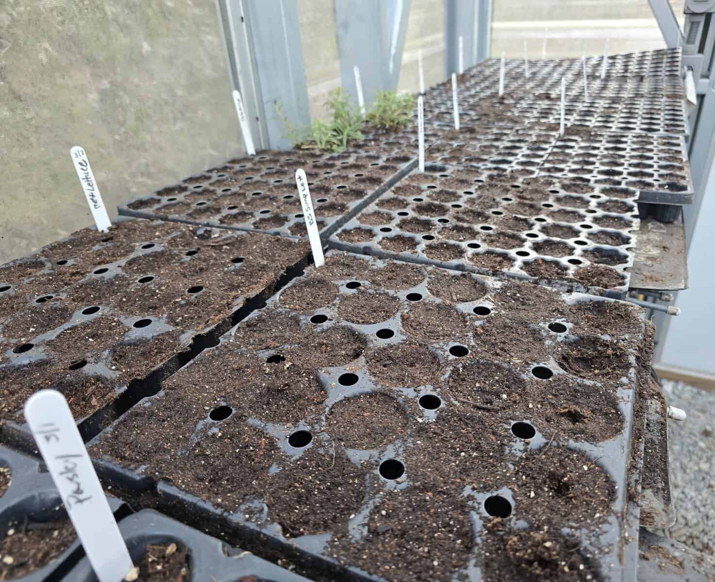 Spring gardening requires patience