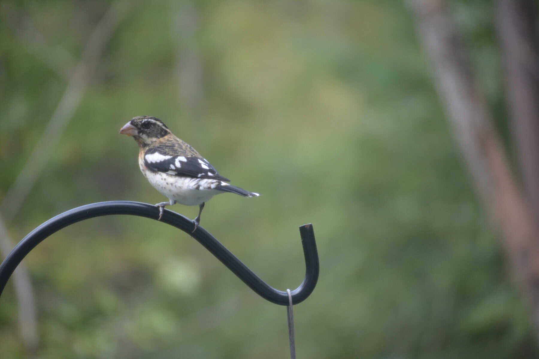 Events Calendar: May 8 – 22