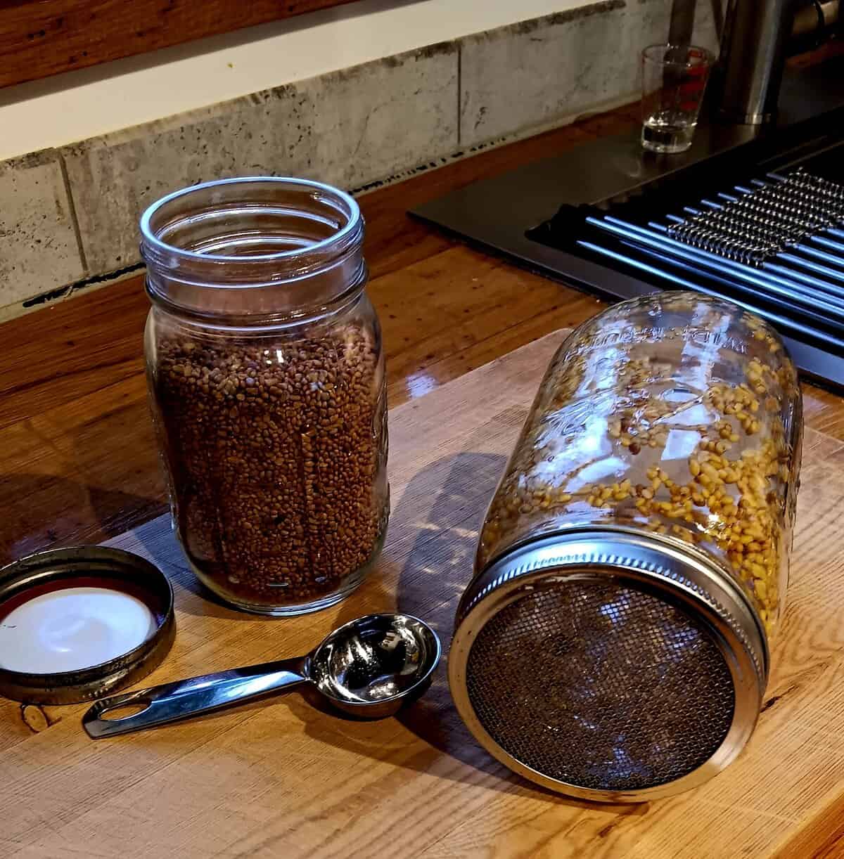 Seasonal eating and incorporating sprouts