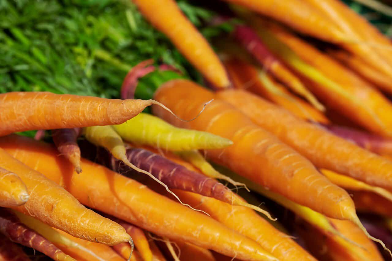 Use Spring carrots for light, tasty dishes