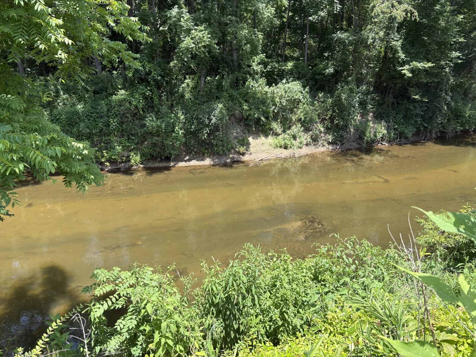 Waterway cleanup complete