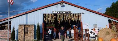 Livestock event at Macon Sense with people attending and animals on display.