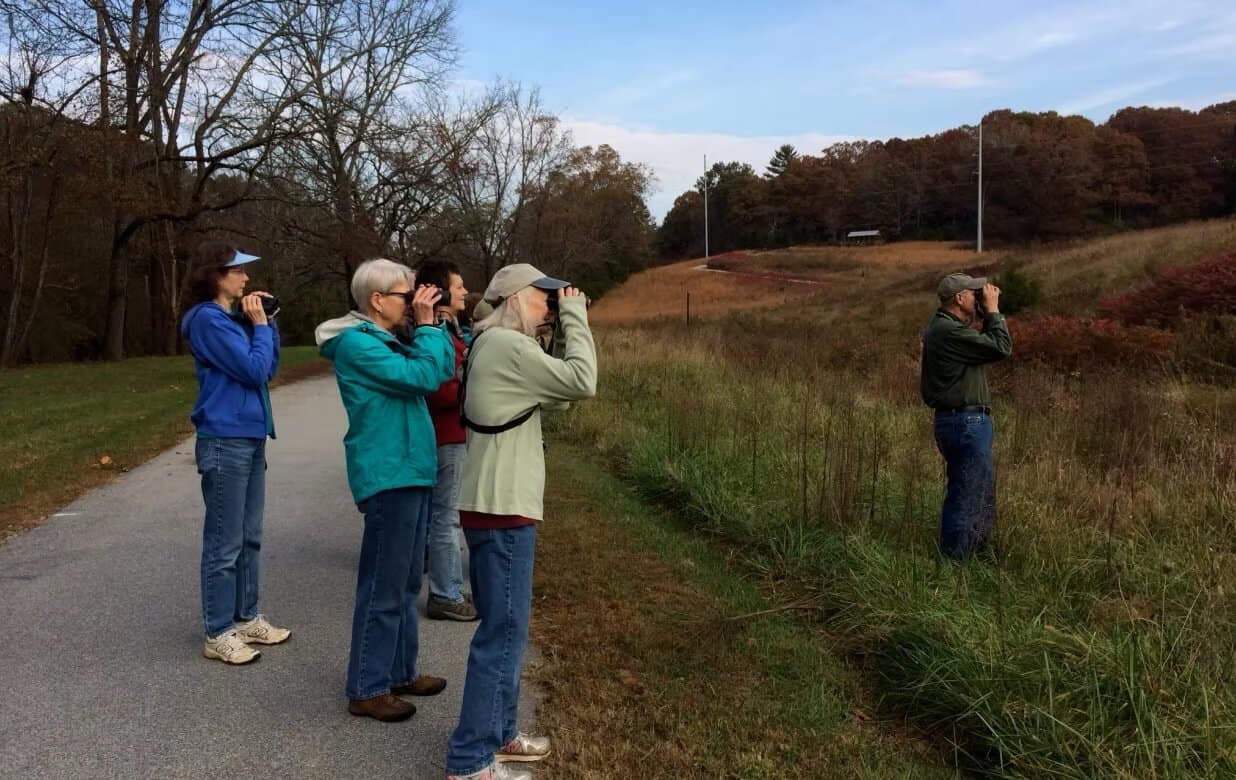 Guided birdwatching with the Franklin Bird Club