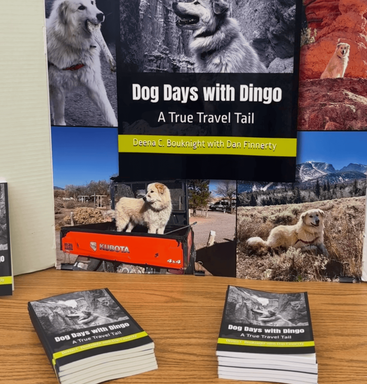 Book signing for "Dog Days with Dingo" featuring Dingo the travel dog.