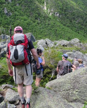 Hikers exploring the Appalachian Trail with backpacks in lush green scenery.