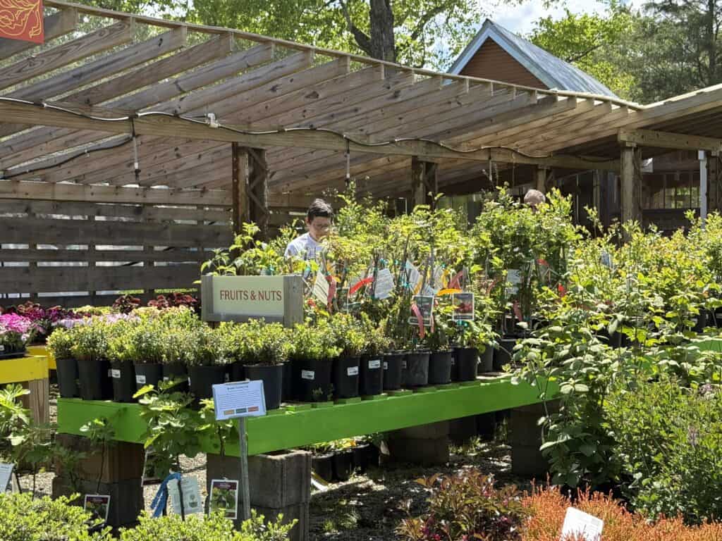 Drought conditions threaten Macon despite upcoming rain forecasts. Local gardens and farms face wate.