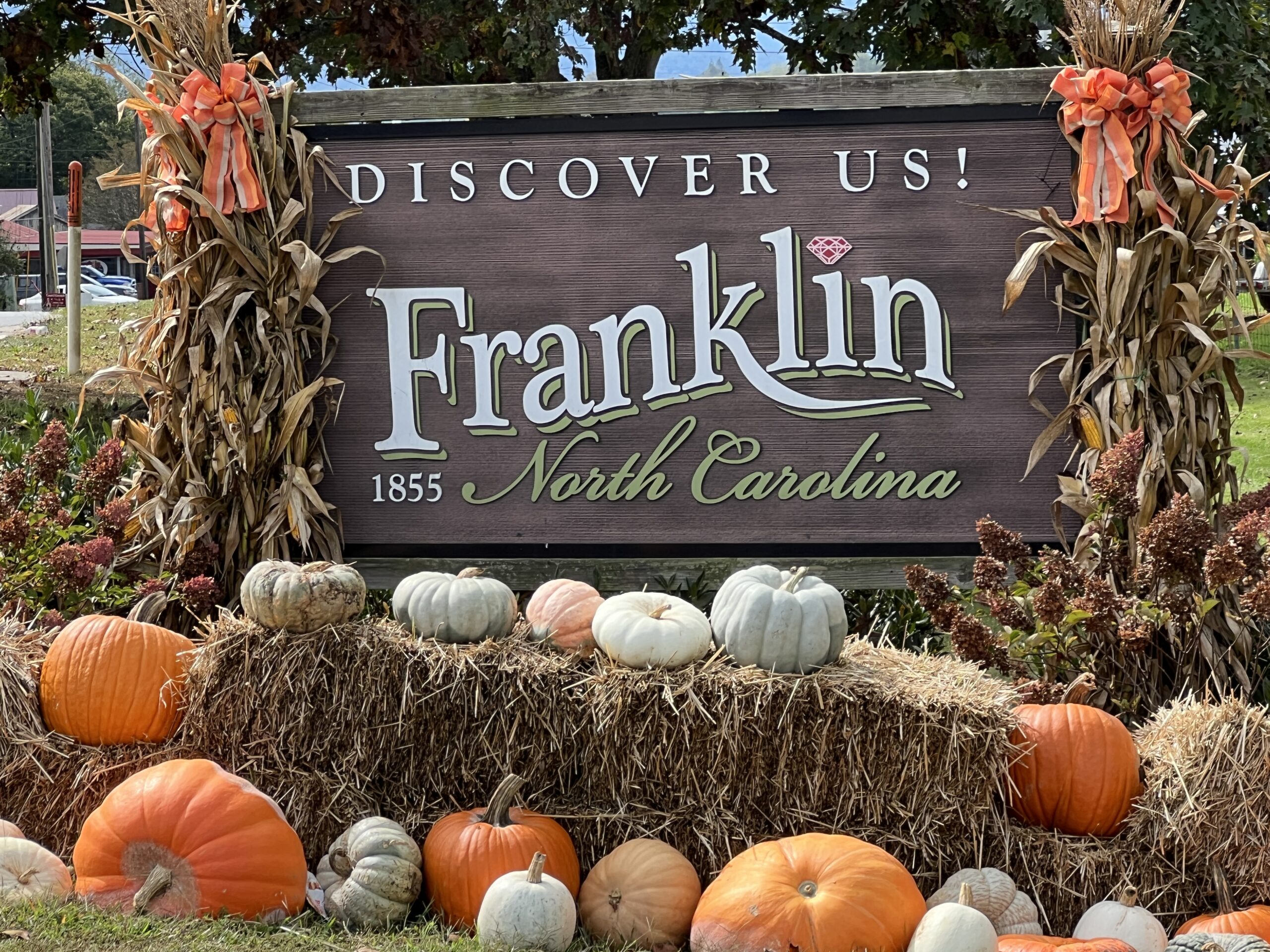 TDA reports record winter revenues, proposes budget increase