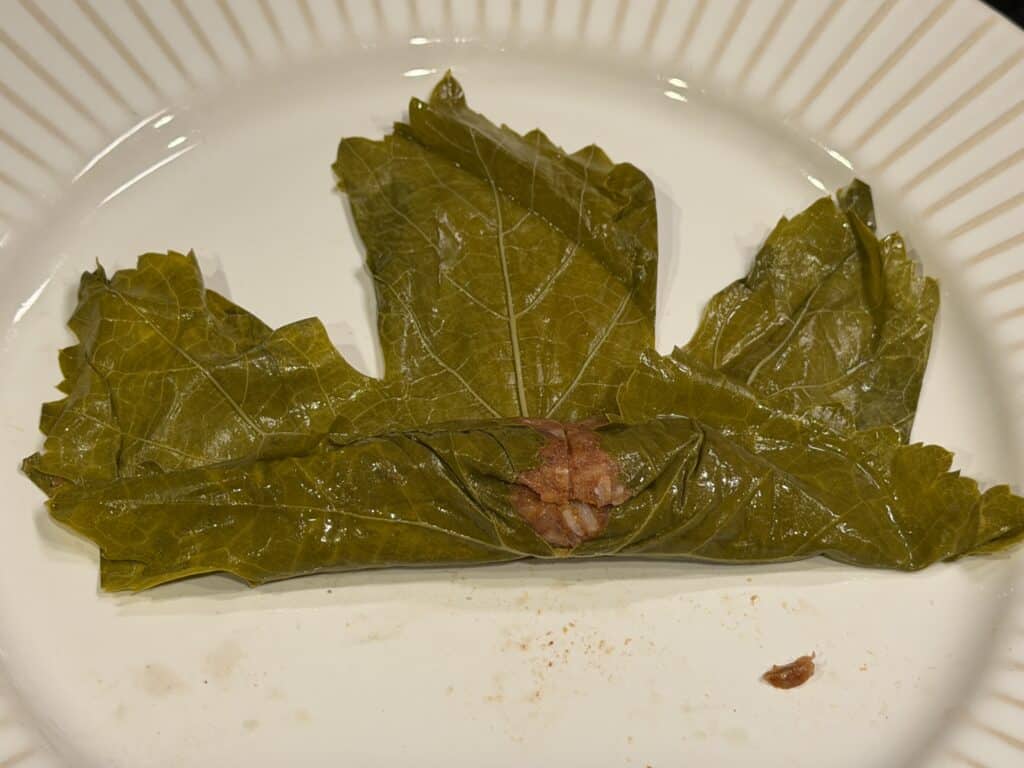 Traditional stuffed grape leaves served on a white plate.