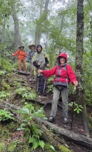 Group of hikers enjoying a trail in lush Appalachian forest.