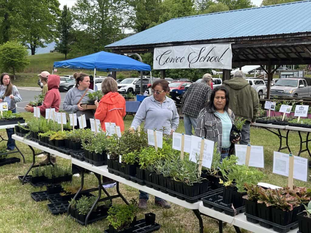Spring plant fair showcasing various potted herbs and flowers at Come School outdoor event.