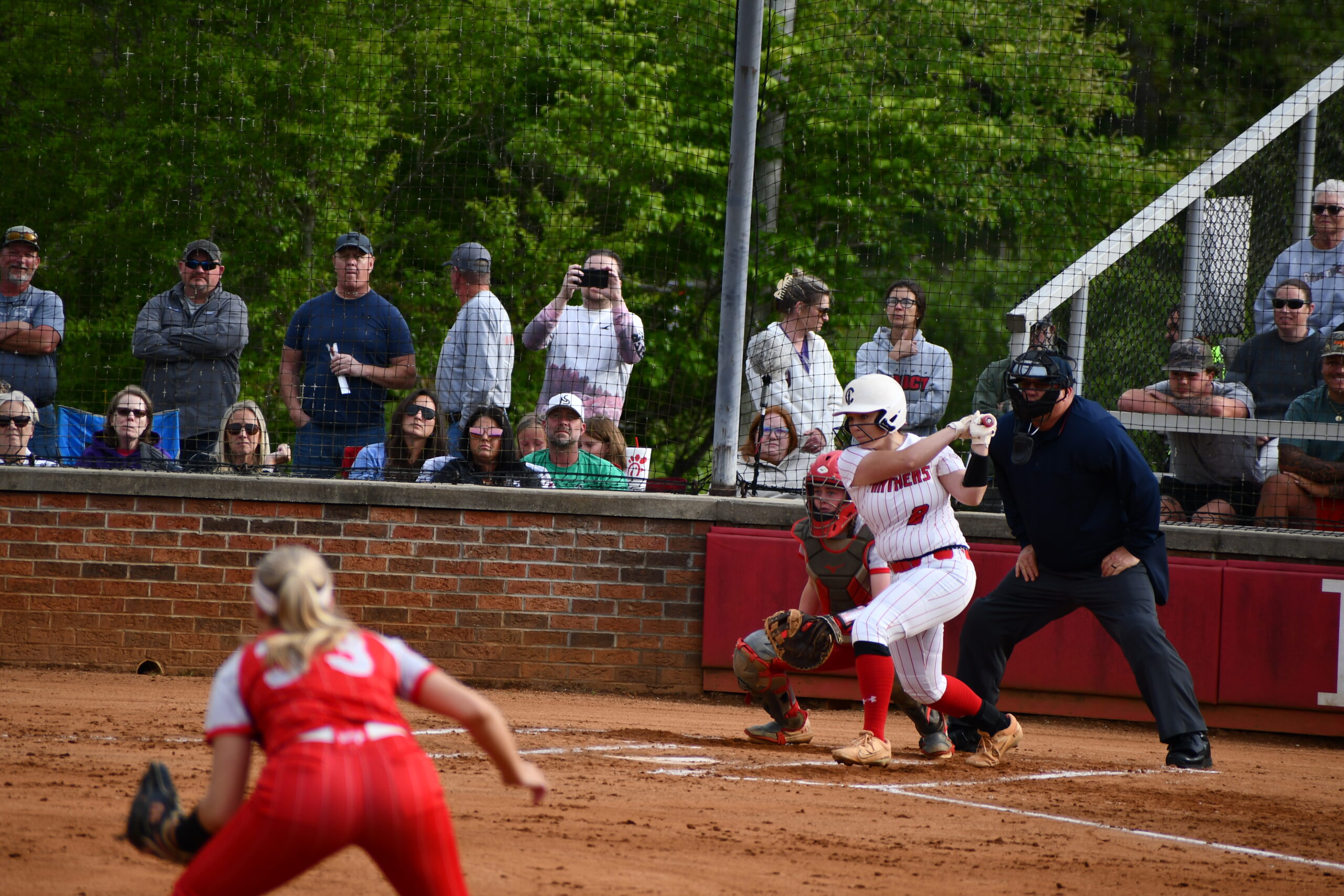 Playoffs: Lady Panthers beat Erwin, loses at North Davidson; baseball loses to East Lincoln