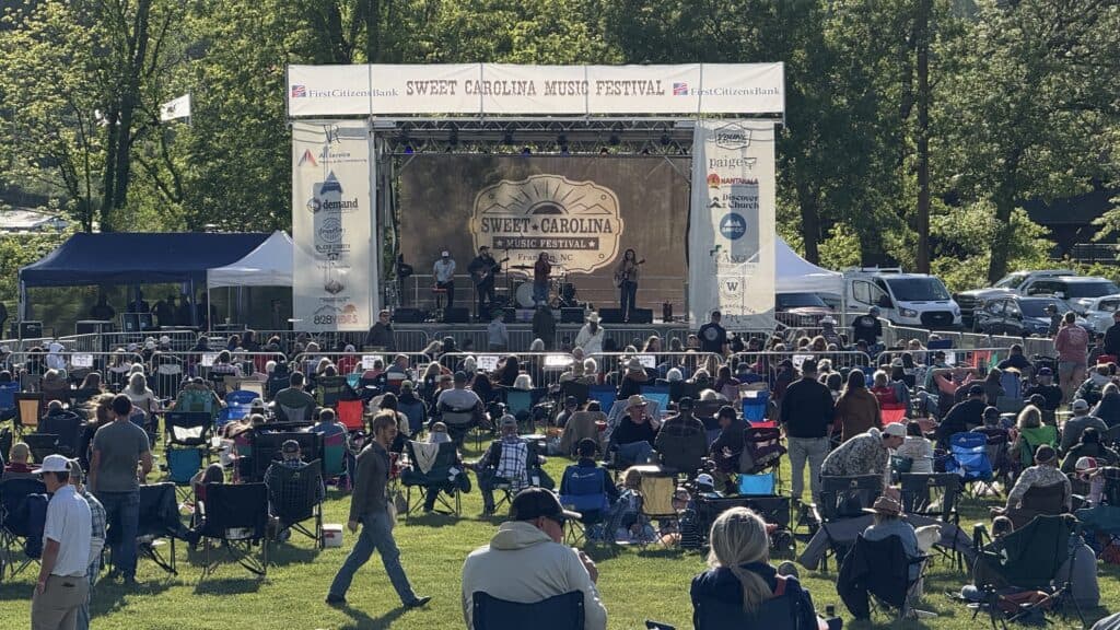 Outdoor music festival with crowd enjoying live performance in a park.