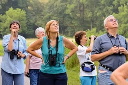 Birdwatchers observing birds with binoculars in a scenic natural environment.