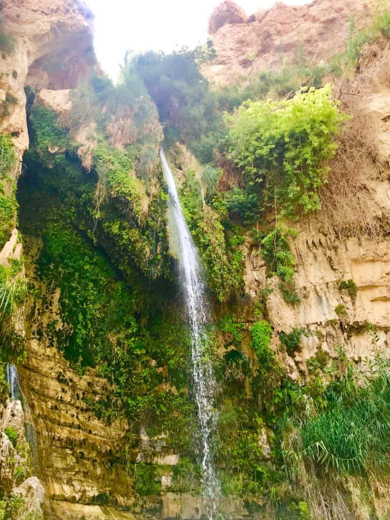 Waterfall cascading down mossy rocks in a lush canyon.