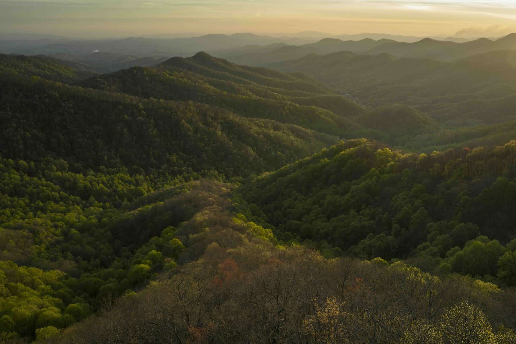Mainspring completes largest conservation project in organization’s history