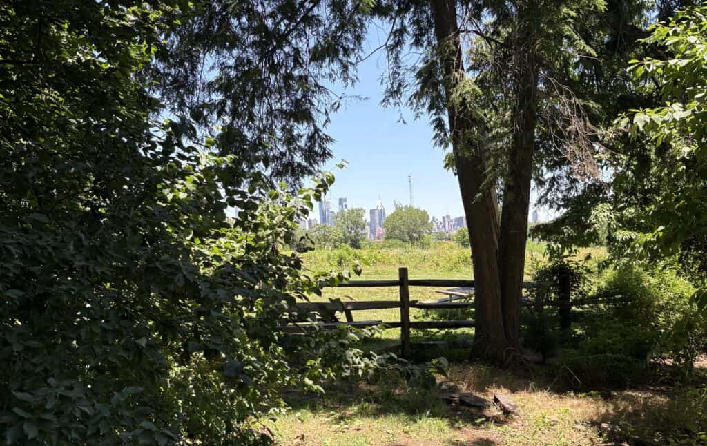 City skyline visible through trees in a park setting.