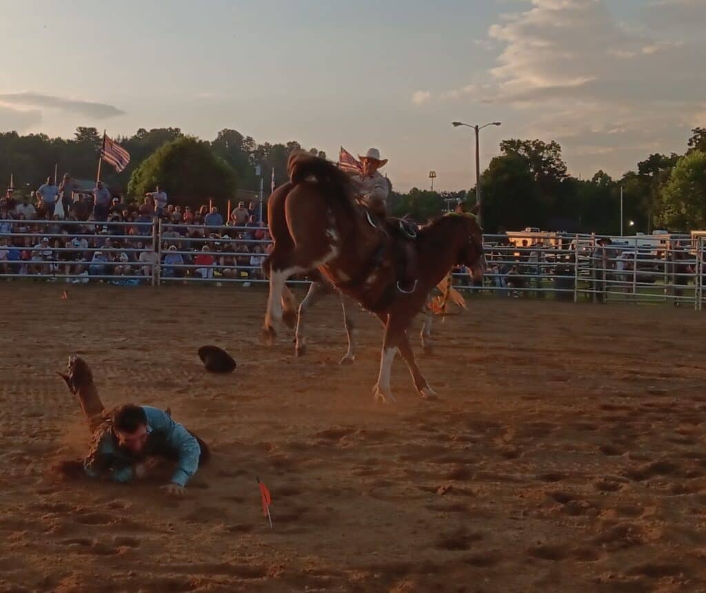 Rodeo rider thrown off bucking horse at a lively rodeo event.