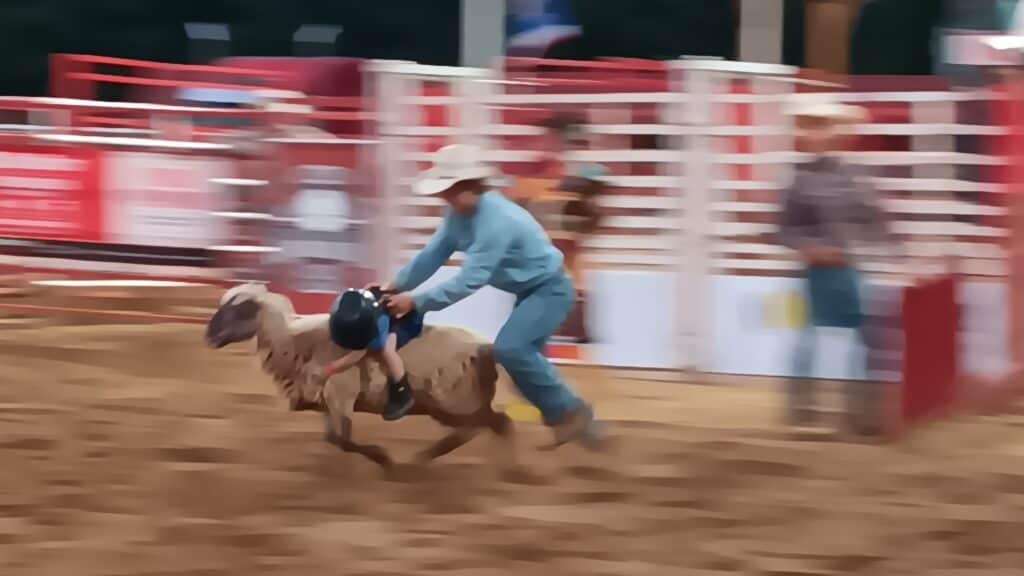 Rodeo cowboy riding a bucking bull at a rodeo event.