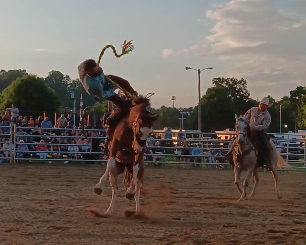 Rodeo cowboy riding a bucking horse during a rodeo event.