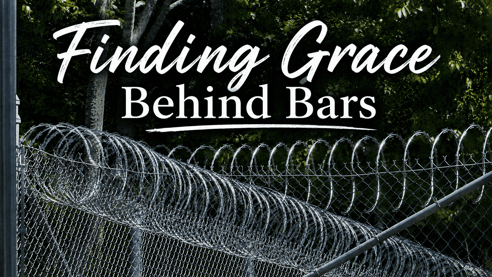 Barbed wire fence with trees in background for prison or security.