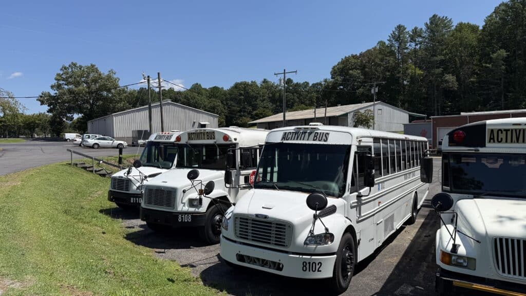 Group of white school buses parked in a lot on a sunny day.