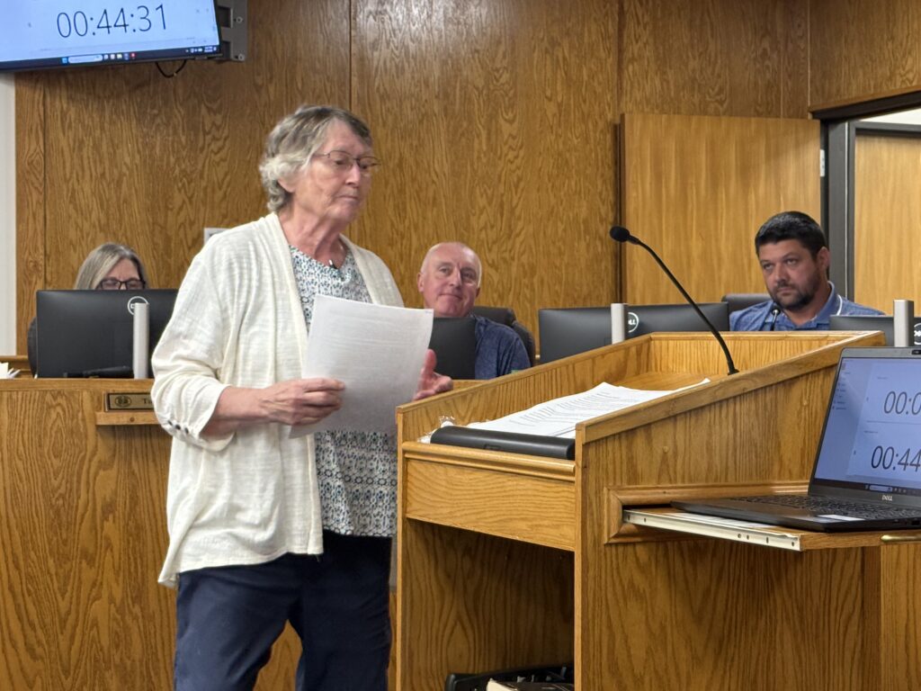 Woman speaking at a meeting about budget planning and services.