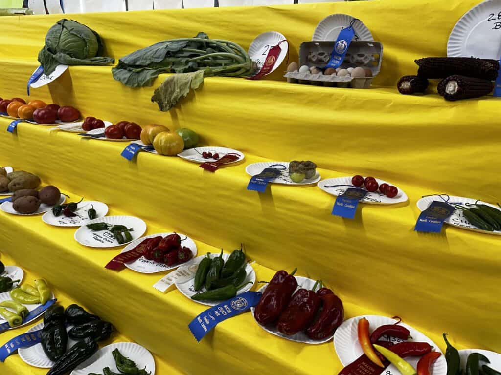 Colorful display of vegetables and produce at a fair or market.