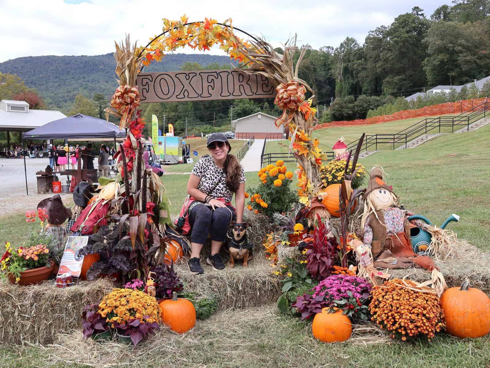 Woman sitting with dogs at Foxfire Mountaineer Festival with fall decorations.