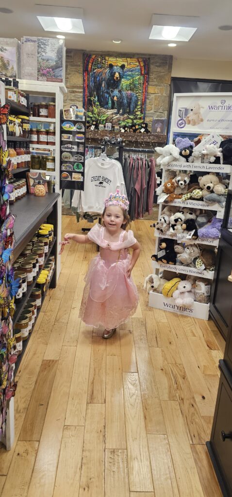 Young girl in pink princess dress shopping in a store with plush toys and artwork.