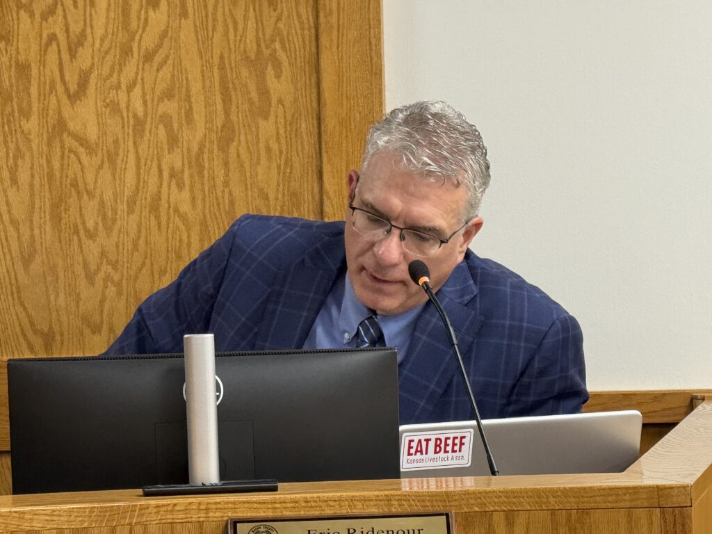 Commissioner speaking at a meeting about budget and services.